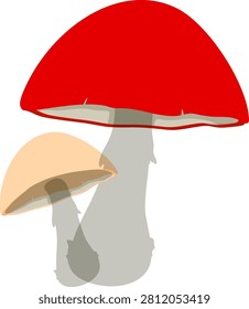 Minimalist risograph vector illustration of two wild mushrooms with red and tan caps.