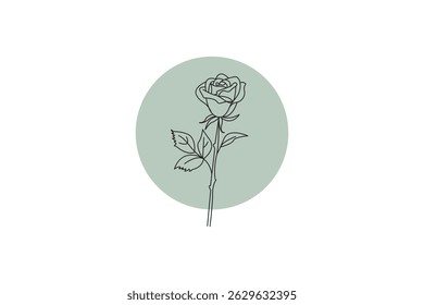 Minimalist rose line art sage green circle botanical illustration elegant floral design