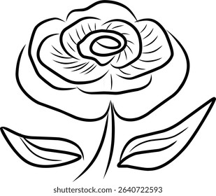 Minimalist rose line art,hand drawn flower sketch,flower line art
