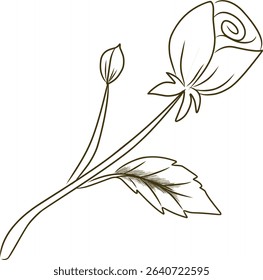 Minimalist rose line art,hand drawn flower sketch,flower line art