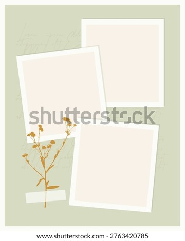 Minimalist scrapbook template with three blank photo frames, dried wildflower branch and washi tape on sage green background for social  posts, moodboards and invitations.
