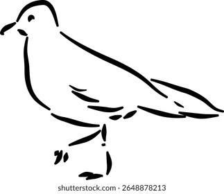 Minimalist seagull standing sketch suitable for branding packaging stationery posters coastal decor eco designVector illustration