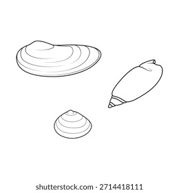 Conjunto de arte de linha de concha minimalista com conchas de moluscos e conchas. Ilustrações marinhas em preto e branco isoladas em branco, perfeito para desenhos de praia, logotipos, padrões e decoração costeira.