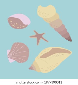 Minimalist seashells on blue background abstract flat vector set EPS10