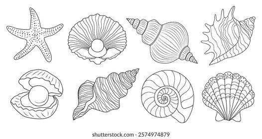 Minimalist seashells vector line art collection. Outline hand drawn design for greeting cards, wedding invitations, poster design, postcards, branding, logo design. Isolated on white background