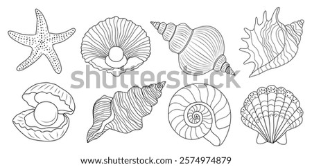 Minimalist seashells vector line art collection. Outline hand drawn design for greeting cards, wedding invitations, poster design, postcards, branding, logo design. Isolated on white background