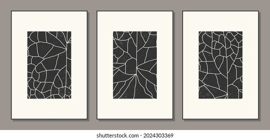 Conjunto minimalista de afiche botánico con collage abstracto de textura de hoja