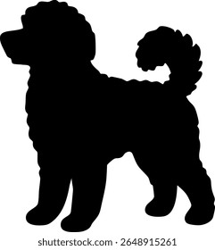 Minimalist silhouette of curly dog standing. Silhouette of poodle with curly coat and curled tail