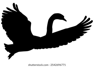 Minimalist Silhouette of Swan or Goose or Duck in Flight – Black and White Vector Illustration Isolated on White Background, Editable EPS for Graphic Design, Nature, Icon, etc