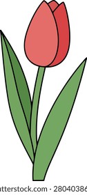 Minimalist Single Budding Tulip Flower With Green Stem on Isolated Plain White Background Clean Botanical Nature Concept