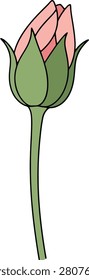 Minimalist Single Flower Bud Beginning to Bloom With Clean Outlines on a Pure White Background