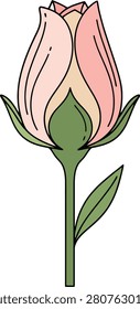 Minimalist Single Flower Bud Beginning to Bloom With Clean Outlines on a Pure White Background Isolated