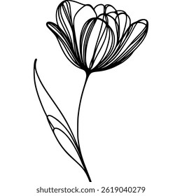 Minimalist single flower illustration with thin black lines forming the petals, stem, and a leaf. The flower is isolated on a clean white background.