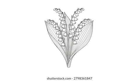 Minimalist single line art