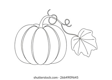 Línea sencilla minimalista dibujando una calabaza con calabaza de hoja de tallo