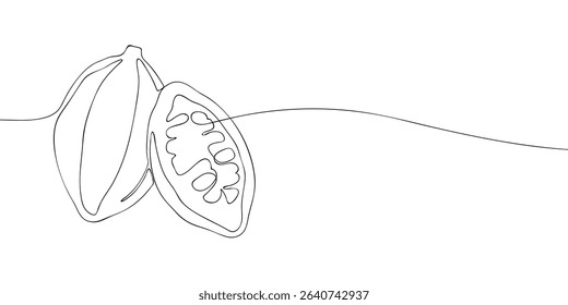 Minimalist single line illustration of an open cocoa pod with visible beans inside, perfect for chocolate and organic food designs.
