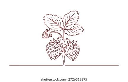 Ilustração de vetor de linha única minimalista de arbusto de fruto de morango. Conceito de colheita de bagas frescas isolado em fundo branco limpo.