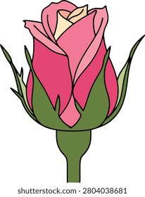 Minimalist Single Pink Rose Bud Beginning to Bloom With Clean Outlines Isolated on a Pure White Background