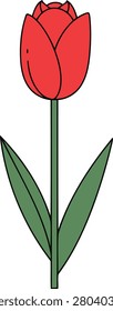 Minimalist Single Red Tulip Flower With Green Stem on White Background for Spring Decor and Floral Branding Concepts