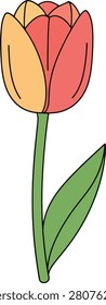 Minimalist Single Tulip Flower in Full Bloom Featuring Simple Outlines on a Clean Isolated Blank White Background Surface
