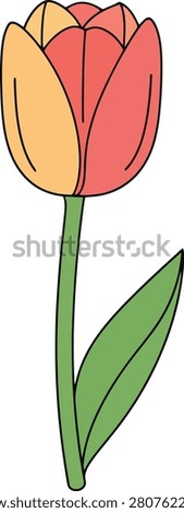 Minimalist Single Tulip Flower in Full Bloom Featuring Simple Outlines on a Clean Isolated Blank White Background Surface