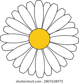 Minimalist Single White Daisy Flower Head With Yellow Center Isolated on a Clean Blank Background for Graphic Projects