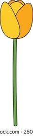 Minimalist Single Yellow Tulip With Green Stem on Plain White Background for Spring Seasonal Nature Concept Decoration