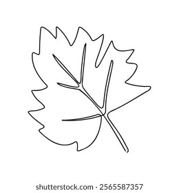 A minimalist single-line drawing of a maple leaf, perfect for nature and botanical designs.