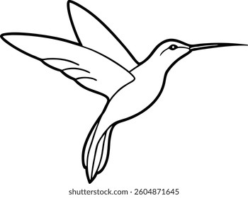 minimalist sketch of a hummingbird in flight line art vector illustration