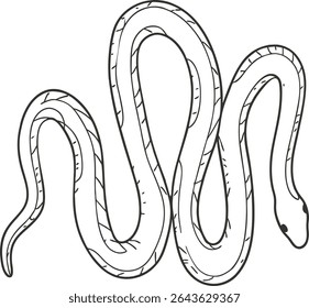 Minimalist snake line art illustration featuring a winding serpent design, perfect for tattoos, wildlife  symbolism art, and reptile-themed creative or commercial graphic projects.