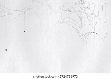 Diseño web minimalista de la araña en un fondo claro. Las delicadas líneas de Web de araña crean un patrón intrincado. El Web y las líneas enfatizan la simplicidad y la elegancia. Fondo con Vector de espacio de copia.