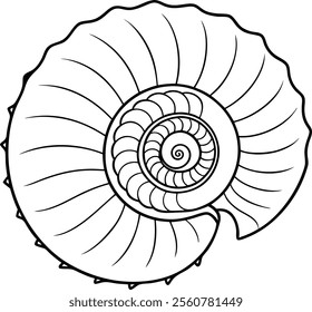 Minimalist Spiral Seashell Line Art Vector Illustration