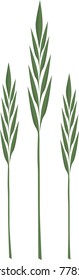 Minimalist stalks of wheat in two tones of green.  Three simple wheat silhouettes of varying heights.  Background is transparent in vector file.