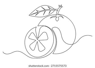 Minimalist style orange illustration continuous line drawing isolated food