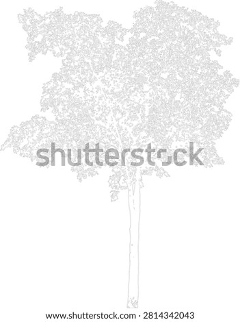 Minimalist tall tree wireframe line vector drawing with dense foliage canopy isolated on a transparent background.