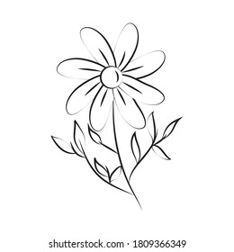 minimalist tattoo flower foliage leaves line art herb vector illustration
