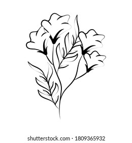 minimalist tattoo flower line art herb sketch drawing vector illustration