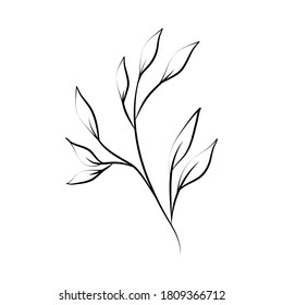 minimalist tattoo rustic branch flora line art herb and leaves vector illustration