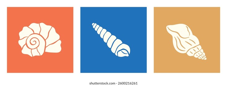Minimalist templates with shells. Tropical marine summer background illustration.