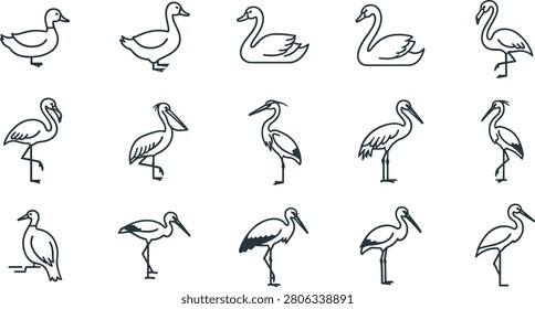 Minimalist thin line vector icons of waterfowl and wading birds featuring clean geometric duck swan flamingo pelican heron and stork outlines.