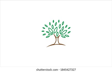 Minimalist Tree Logo Design Icon Stock Vector (Royalty Free) 1845427327 ...