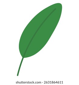 Minimalista Tropical Leaf Icon Flat Green Elementos botánicos