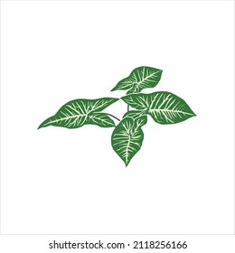icono del logotipo de hoja tropical minimalista