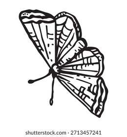 Mariposa de Vector minimalista para prados alpinos