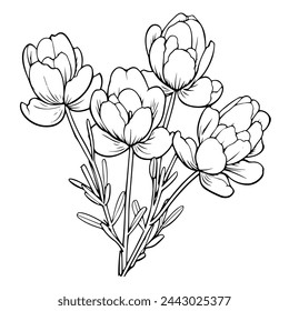 Minimalistische Vektordarstellung von Freesias Umrissen, ideal für botanische Grafiken.