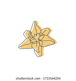 Minimalist vector drawing of light yellow flower. Floral, botanical illustration. Line drawing. Decorative element for cards, posters, invitations, stationery.