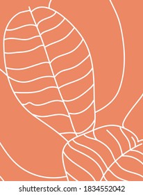 Minimalist vector drawing of plant leaves. Depiction of foliage on peachy background. Line art. For cards, posters, stationery.