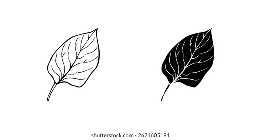 A minimalist vector icon set depicting leaves, perfect for nature and eco friendly designs.
