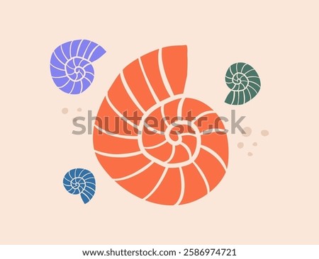 Minimalist vector illustration of ammonite fossils in various colors and sizes