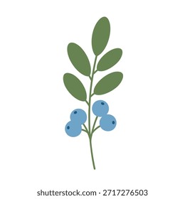 Una Ilustración vectorial minimalista de una ramita botánica con hojas y bayas